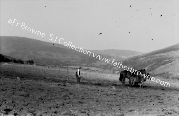 PLOUGHING IN THE KNOCKMEALDOWNS EASTER SATURDAY